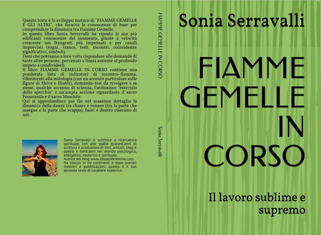 Copertina Fiamme Gemelle In Corso di Sonia Serravalli